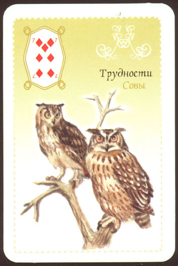Совы ленорман. Колода Ленорман с совами. Карта Совы Ленорман. 12 Совы Ленорман. Оракул Ленорман Сова.