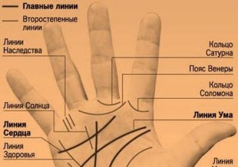 What books on palmistry are best to study for beginners?