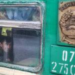 Роспотребнадзор заявил о рисках завоза паразитарных инфекций мигрантами