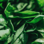 Шпинат — старый новый суперфуд: 5 небанальных рецептов на каждый день