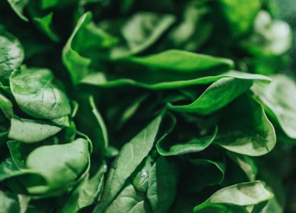 Шпинат — старый новый суперфуд: 5 небанальных рецептов на каждый день