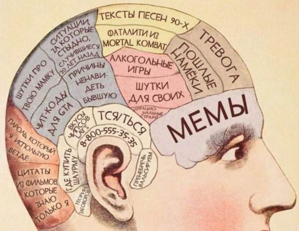 Как работает человеческая память: почему одни моменты запоминаются навсегда, а другие стираются за минуты