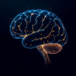 AVB: у психопатов снижена толщина некоторых участков коры мозга